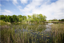 Doğanın kalbi Sakarya’da attı: İki yeşil noktaya 605 bin ziyaretçi