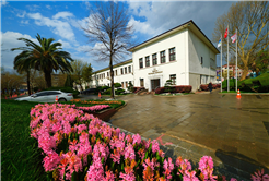 Sakarya’da baharın büyüleyici cümbüşü