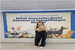 Pati İzi, 700’ü aşkın patili dostu yeni yuvasına kavuşturdu