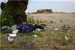 Sapanca Gölü’nün her bir karışı Büyükşehir’in takibinde: Tonlarca atık topladılar…