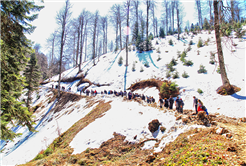 Doğaseverler Büyükyayla’daydı