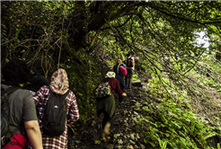 Doğaseverler Sapanca’daydı