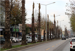 15 Temmuz Caddesi kışa hazır