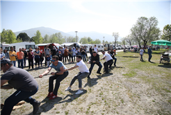 Kamp ve Karavancıların adresi Sakarya