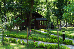 Sakarya İl Ormanı Bungalov Evleri misafirlerini bekliyor