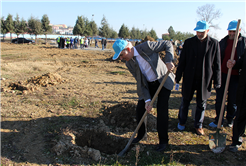SASKİ’den Yeşile Katkı
