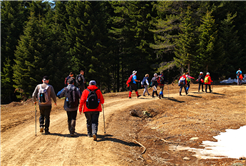 Doğaseverler Büyükyayla’daydı