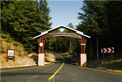 Benzersiz doğasıyla yazın yıldızı İl Ormanı Tabiat Park oldu
