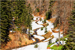 Doğaseverler Büyükyayla’daydı