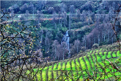 Doğa Yürüyüşleri Büyük Yayla’da başladı