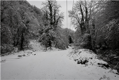 Beyaz örtü Sapanca Gölü’nü besleyen derelere can oldu