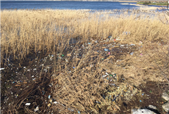 SASKİ Göl Kıyısını Temizliyor