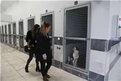 Büyükşehir’in hayvan rehabilitasyon merkezine barodan tam not