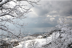 Sapanca Gölü yükselmeye devam ediyor