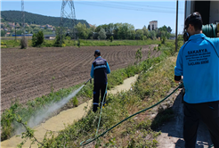 Vektörlerle mücadele ve ilaçlama aralıksız sürüyor