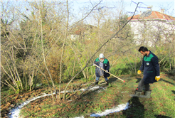 Hedef fındıkta maksimum kalite