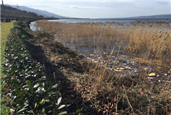 SASKİ Göl Kıyısını Temizliyor