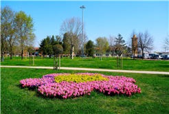 Sakarya’da baharın büyüleyici cümbüşü