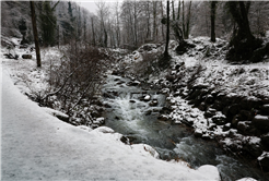 Beyaz örtü Sapanca Gölü’nü besleyen derelere can oldu