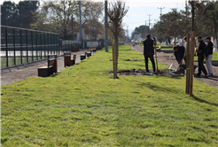  “Söğütlü Ritim Park’ta çalışmalar yüzde 80 seviyelerine ulaştı”