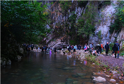 Yaylalardan longoz ormanlarına: Sakarya’da doğayla iç içe sonbahar