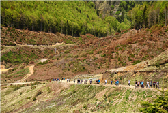 Pamukova ve Sapanca’da doğa ile iç içe yürüyüş