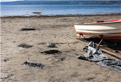 Sapanca Gölü çevresinden 2 ton çöp toplandı