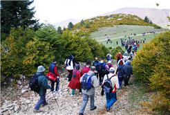 Taraklı’da Bahar Yürüyüşü