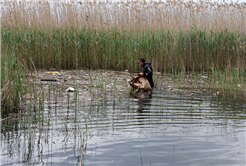 Daha Temiz Bir Kıyı Şeridi İçin