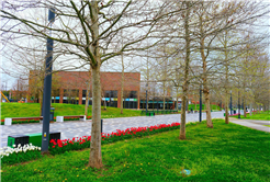 Sakarya’da baharın büyüleyici cümbüşü