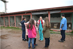 Öğrencilerden Sokak Hayvanları Bakımevine ziyaret
