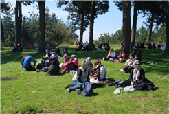 10 kilometre boyunca gördükleri her bir ayrıntıya hayran kaldılar