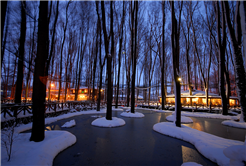 4 mevsim orman keyfi burada