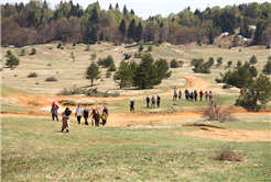 Pamukova ve Sapanca’da doğa ile iç içe yürüyüş