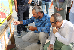 Uluslararası heyetten Sakarya plajlarına tam not