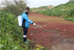Ekip sahaya indi, şehrin her ‘karışında’ mücadele başladı