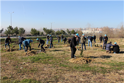SASKİ’den Yeşile Katkı