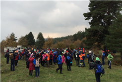 Şehrin Güzelliklerini Birlikte Keşfettik