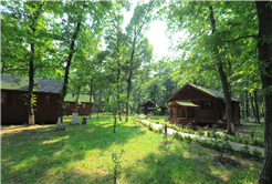 “İl Ormanı Tabiat Parkı ile vatandaşlar doğanın en güzel haliyle buluşacak”