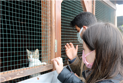 Öğrenciler Büyükşehir barınağında hayvan dostlarıyla buluştu