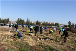 SASKİ’den Yeşile Katkı