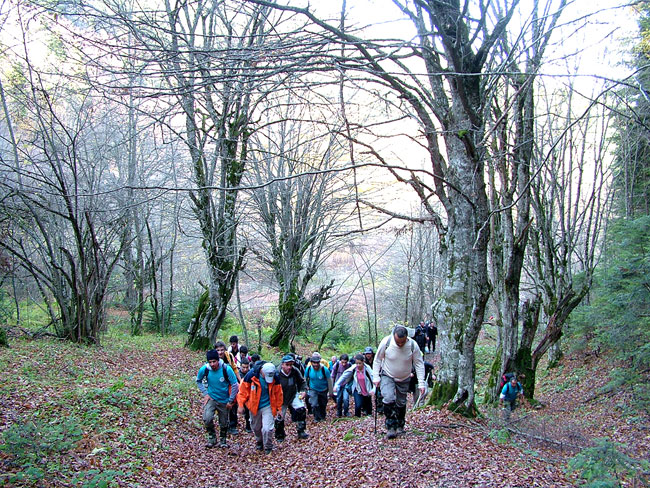 Doğa Yürüyüşleri Sona Erdi