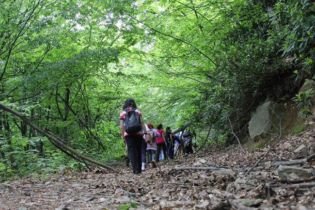 Soğucak Şelalesi'ne Yürüdüler