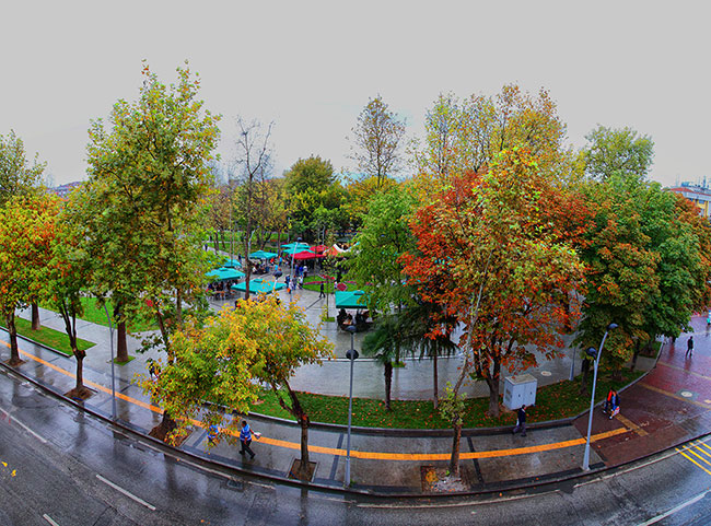 Şemsiyeli Park'a Hoşgeldiniz