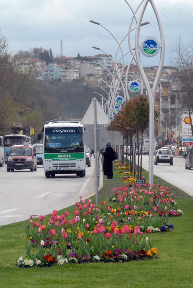 Büyükşehir'in Laleleri Çiçek Açtı