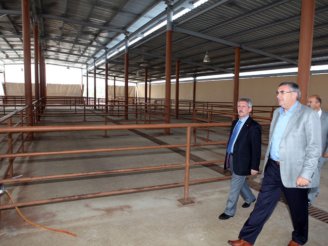 Hayvan Pazarı Çağdaş Standartlarda Yapıldı