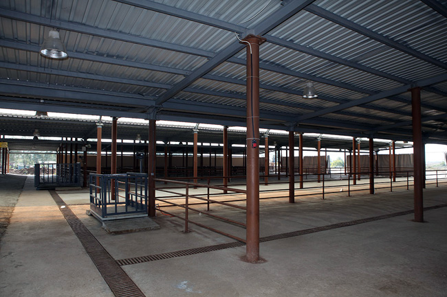 Hayvan Pazarı Çağdaş Standartlarda Yapıldı