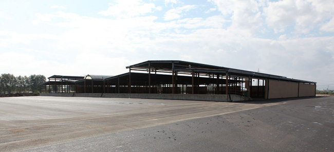 Hayvan Pazarı Çağdaş Standartlarda Yapıldı
