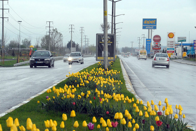 Sakarya'da Lale Devri