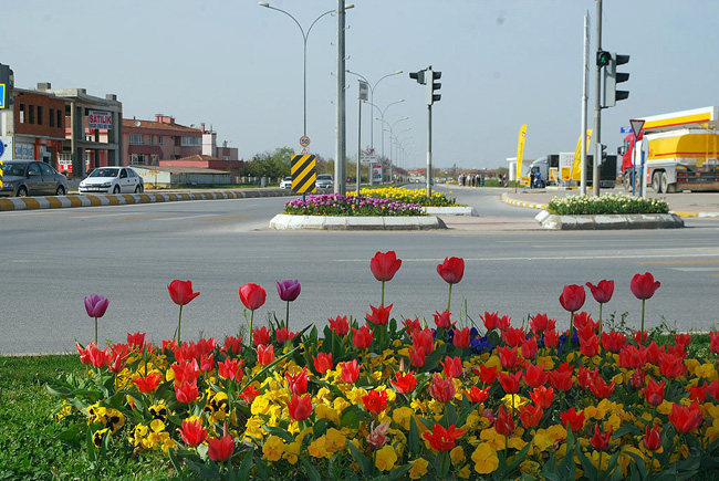 Sakarya'da Lale Devri